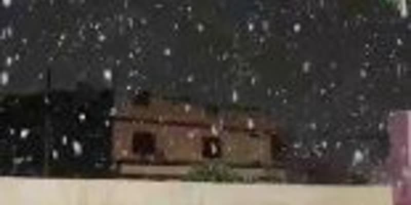 Сняг в Алжир: Рядък зимен пейзаж в западната част на страната