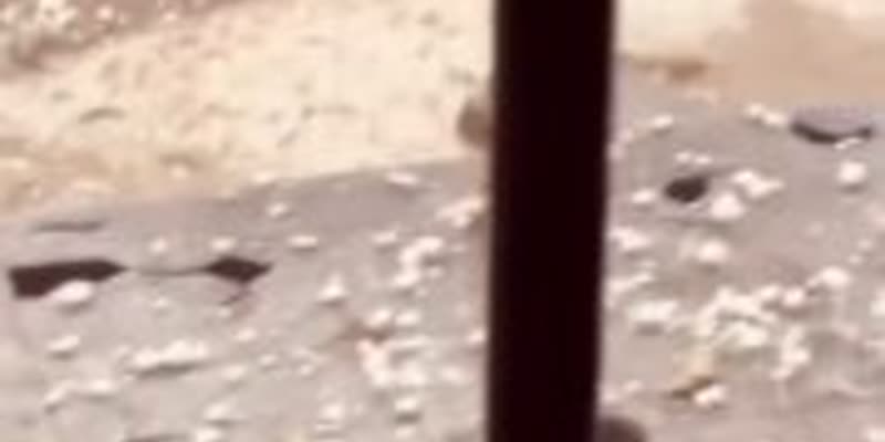 Непал пострада от силни гръмотевични бури и градушка