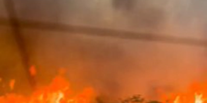 Пожар на хълм край магистрала 3 в Тайчунг