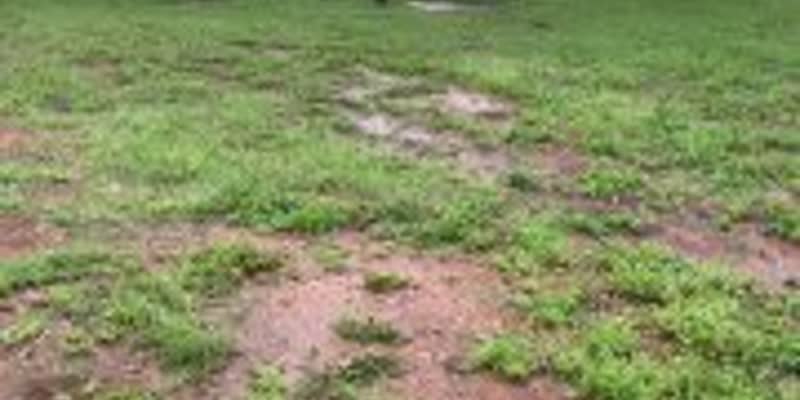 Исторически наводнения в Австралия: Хаос и евакуации в Северната територия