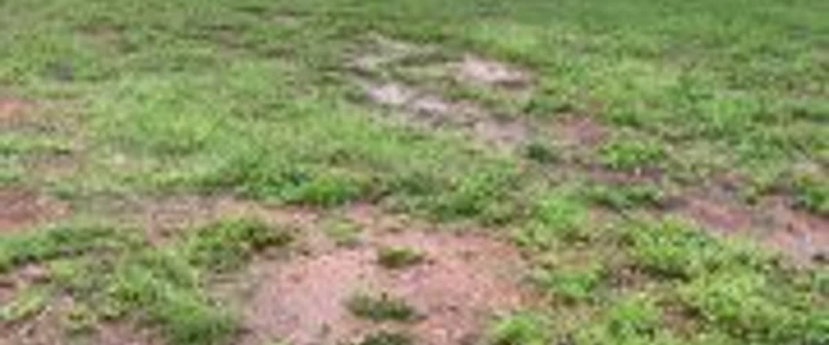 Исторически наводнения в Австралия: Хаос и евакуации в Северната територия